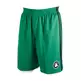 Adidas NBA Short Summer Run Celtics (verde/negro/blanco)