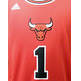 Camiseta NBA Intl XMas Swingman #1# Derrrick Rose