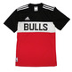 Adidas Camiseta NBA Bulls Winter Hoops (negro/blanco/rojo)