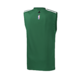 Adidas Camiseta S/M Winter Boston celtics (verde)