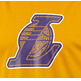 Adidas Camiseta Niño NBA Entreno Lakers Smer R (amarillo/purple)