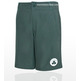 Adidas Short ID Celtics (verde/blanco)