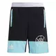 Adidas Basketblall Young Lil Stripe Short "Black"