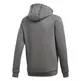 Adidas Junior Core 18 How You Doin? Hoody