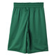 Adidas NBA Short Niño Boston Celtics Winter Hoops Rev (Black/Green/white)