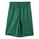 Adidas NBA Short Niño Boston Celtics Winter Hoops Rev (Black/Green/white)