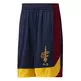 Adidas NBA Summer Run Shorts Cavaliers (nba-cca)