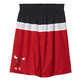 Adidas NBA Winter Hoops Reversible Short Chicago Bulls (nba-cbu)