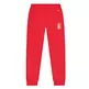 Champion Legacy University Stanford Logo Fleece Joggers