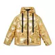 Desigual Golden Padded Jacket with Detachable Sleeves