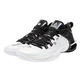 Peak TAICHI Flash 6 "Black & White"