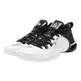 Peak TAICHI Flash 6 "Black & White"