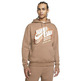 Jordan Jumpman Men's Fleece Pullover Hoodie "Archaeo Bronw"