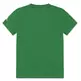 Jordan Kids JBD JM 23 Mesh SS Tee "Pine Green"