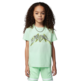 Jordan Kids JDB Sport Graphic Dri-FIT Tee "Vapor Green"