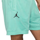 Jordan Sport DNA Men's Mesh Shorts "Tropical Twist"