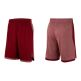 Nike Dry Dribble Shorts (677)