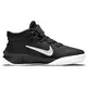 Nike Team Hustle D 10 FlyEase (GS) "Black"