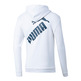 Puma Big Logo FZ Hoody TR