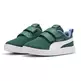 Puma Kids Courtflex v2 Mesh V PS "Vine"