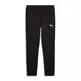 Puma EVOSTRIPE Pants DK "Black-Silver"