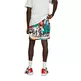 Puma Basketball Graffiti Shorts "Multi Print"