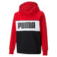 Puma Junior Alpha Hoodie TR