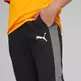 Puma Junior Evostripe Pants