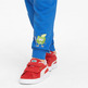 Puma Kids Fruitmates Sweatpants TR cl "Victoria Blue"