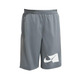 Short Niño Nike Dri-FIT "Grey"