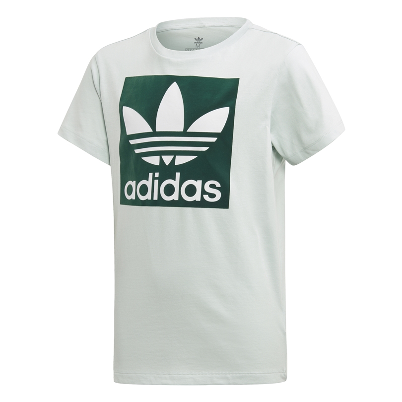 la nieve Incomparable Brillante Adidas Originals Junior Trefoil T-shirt (vapour green)