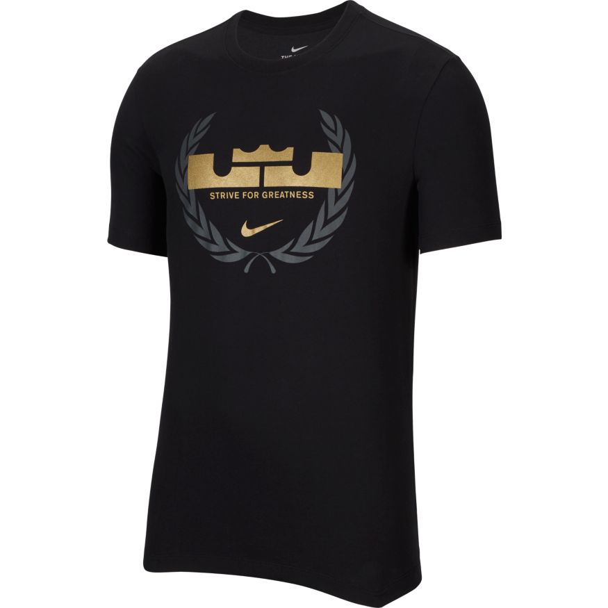  Nike  Dri  FIT  LeBron  Logo Basketball T Shirt  010 